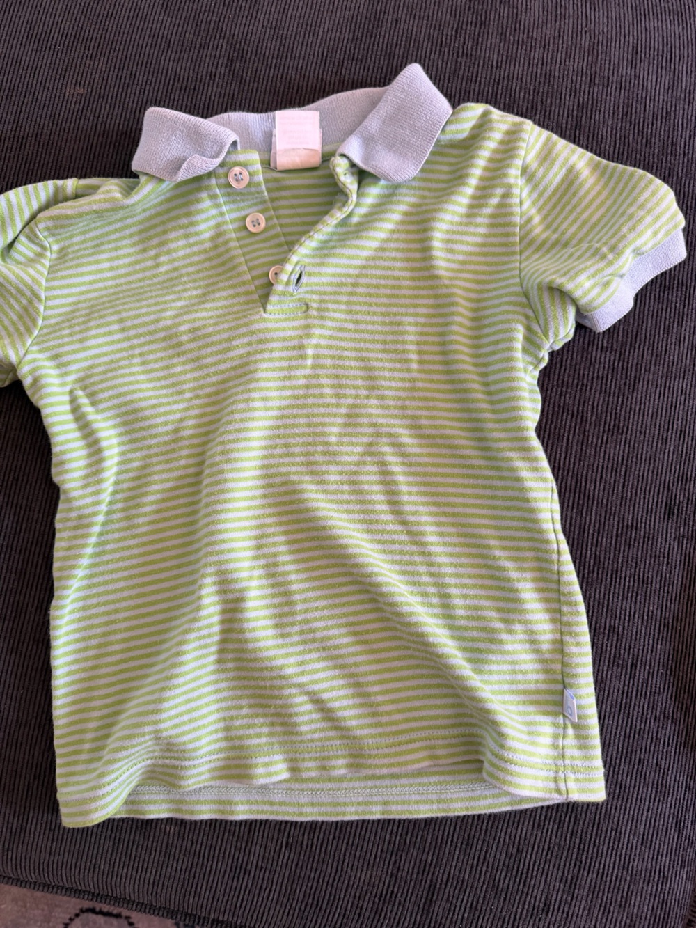 bella bliss Polo